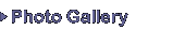 写真ギャラリー